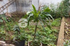 Bán nhà đất thượng cát bắc từ liêm