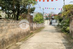 Cần bán 300m2 fun thổ cư lô góc mặt 14 m, giá 1.295 tỷ tân tiến chương mỹ hn.