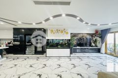 Nhà đẹp ba đình đất quan doanh thu gần 5 tỷ năm đầu tư siêu lợi nhuận dt 300m210 tầng