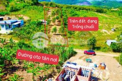 Bán đất khánh phú giá rẻ có thổ cư ngay ngã 3 hương lộ 62 thôn nước nhĩ