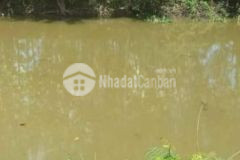 Cần bán mảnh đất 17000m2 tháp mười tỉnh đồng tháp giá chào 5 tỷ