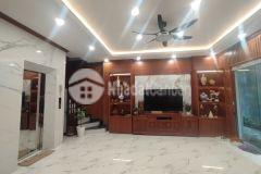 Ban nha hoang văn thai thanh xuân, lô goc, ô tô tranh kd 46m, 5t