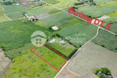 Bán đất vườn ninh xuân sát bên tỉnh lộ 5 quy hoạch full đất ở đô thị