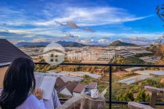 Siêu phẩm 2mt view thung lũng đèn p11 đà lạt