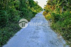 Chủ gửi bá.n nền 100m² đường số 3 kdc đông phú, châu thành, hậu giang