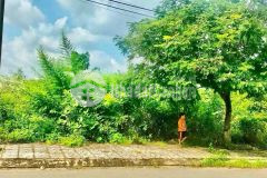 Bán đất biệt thự ql51, an hòa, biên hòa 10 x 24,5m, giá 3,5 tỷ.