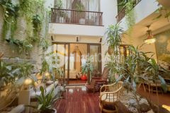 Siêu biệt thự siêu thiết kế phố đội cấn 106m2 xây 6 tầng, mt6.9m không gian xanh