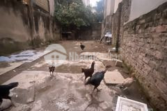 Đất sđcc nở hậu trương định, mt 4.4m, 86m2, chỉ 10.99 tỷ.