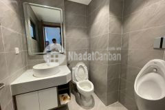 Chính chủ cho thuê tòa vp 9 tầng phố trần bình, dt 85m2 mt6,5m, nhà 3 mặt thoáng. giá thuê 135trth