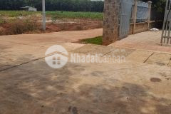 Gia đình tôi có lô đất cần bán 312 m2 có sẵn 100 m2 thổ cư bán 265 triệu