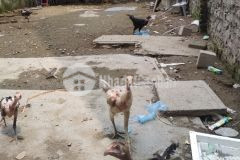 Đất đẹp nở hậu phường tương mai, 86m2, mt 4.4m, chỉ 11 tỷ.