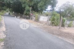 Cho thuê nhà nguyên căn ngay mặt tiền phạm văn đồng nối dài cam lâm giá rẻ