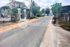 Bán đất diên đồng mặt tiền đường nhựa liên xã thôn 1 đất dân cắt bán