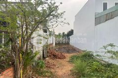 Tôi cần bán lô đất đẹp giá tốt gần chợ 150m2 giá 535 triệu gọi ngay xem đất