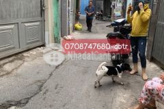 Bán gấp căn 3 tầng dương bá trạc4.414.5quận 8 nhỉnh 5 tỷ