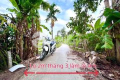 Bán nền nhơn nghĩa phong điền cần thơ