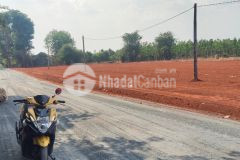 Đất nền giá rẻ tại bình phước với giá chỉ 3xx triệu đồng cho 300m2