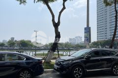 Cho thuê nhà nguyên căn 2 mặt tiền view bờ hồ hàm nghi, siêu đẹp