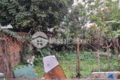 Bán đất thanh lân siêu rẻ 52m ngõ rộng đẹp gần phố hoàng mai