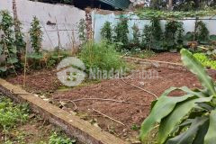 Suýt 2 tỷ châu đài, thượng cát, bắc từ liêm