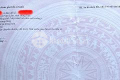 Hàng đẹp lô góc 108m giãn dân ngải dương, sát vành đai 4, giá cực tốt 0835459289