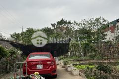 Rẻ nhất ngô xuân quảng, trâu quỳ, gia lâm 36m2. đường ô tô gần 5m. giá 2ty750.