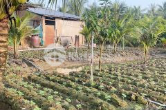 Chính chủ cần bán 1 công đất tp. mỹ tho, gần cầu rạch miễu 2