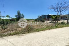 Bán đất khánh phú sát bên đường nhựa yangbay rộng rãi phù hợp xây biệt thự vườn