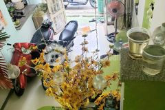 Tanbinh nhỉnh 5tỷ tl,31m2, hẻm xe hoi thông, gần chợ trần văn quang