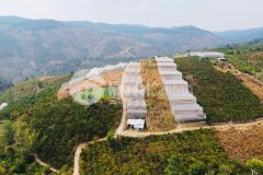 Thanh lý gấp lô đất nông nghiệp sổ riêng tà nung, tp đà lạt