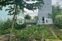 Bán nền khu tái định cư hưng phú đường b34 giá dưới 3 tỷ