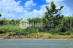 B.án nhanh nền 100m² đường a4 kdc tân phú, cái răng, tp. cần thơ