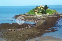 Chính chủ cho thuê 10000m2 mặt tiền hạ long