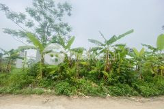Bán đất đấu giá view vườn hoa tân ngọc, bá hiến, bình xuyên, vĩnh phúc. lh 0986934038