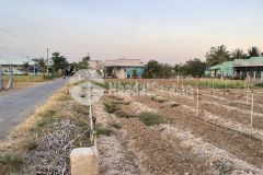 Đất đẹp 30x38, mặt tiền nhựa ấp 3, tân tây, gò công đông, tiền giang