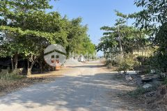 12x24 đất và nhà cấp 4, đường nhựa tại long chánh, tp gò công đông, tiền giang