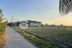 48x39 đất 2 mặt tiền, ấp 2 tân tây, gò công đông, tiền giang