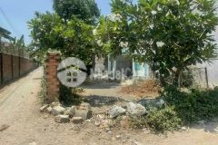 Đất sổ riêng thổ cư 4.5 tỷ151m2