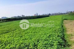 1 lô duy nhất 1 lô duy nhất 145m2 full đất ở sát ql1a giá 6xx.