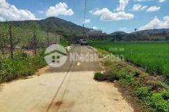 Bán sổ riêng nông nghiệp đankia p.7 đà lạt