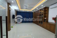 Bán nhà bùi xương trạch ngõ oto,kinh doanh dt 50m2 x 6tầng giá 9 tỷ