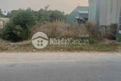 Kẹt tiền kinh doanh, bán nhanh lô đất kcn 1000m2 250 triệu