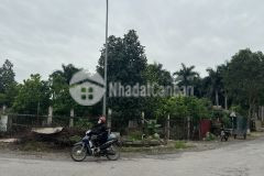 Bán 250m2 đất đường nam hồng đông anh