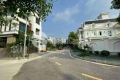 Bán đất biệt thự đỉnh long, mp lê trọng tấn, ph tân bình, tp hd, 133.8m2, mt 8.5m