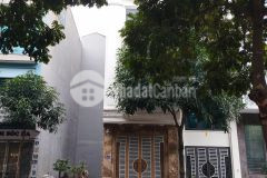 Bán nhà tđc tu hoàng, s40m, 5 tầng hướng đông, view vườn hoa.