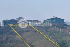 Bán đất sổ riêng nông nghiệp đường dankia phường 7