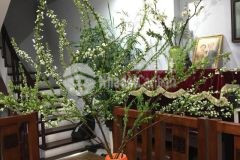 Bán nhà hoàng hoa thám, ba đình, 28m, 5t, 4.7 tỷ. hiếm có khó tìm.0967560457