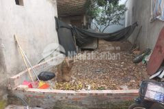 Đống ba thượng cát 54m2 mt 3,2m giá 2.xx tỷ