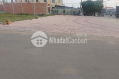 Khu nhà phố thiết kế châu âu chỉ 10trm2