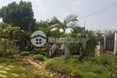 Bán đất bình mỹ củ chi 3400m2 5070 chỉ 17 tỷ có tl